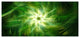 Rotating Fractal Green Fireworks, Large Floral Canvas Art Print, 60"x28"
