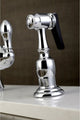 Gourmetier Single-Handle Kitchen Faucet, Side Sprayer, Polished Chrome