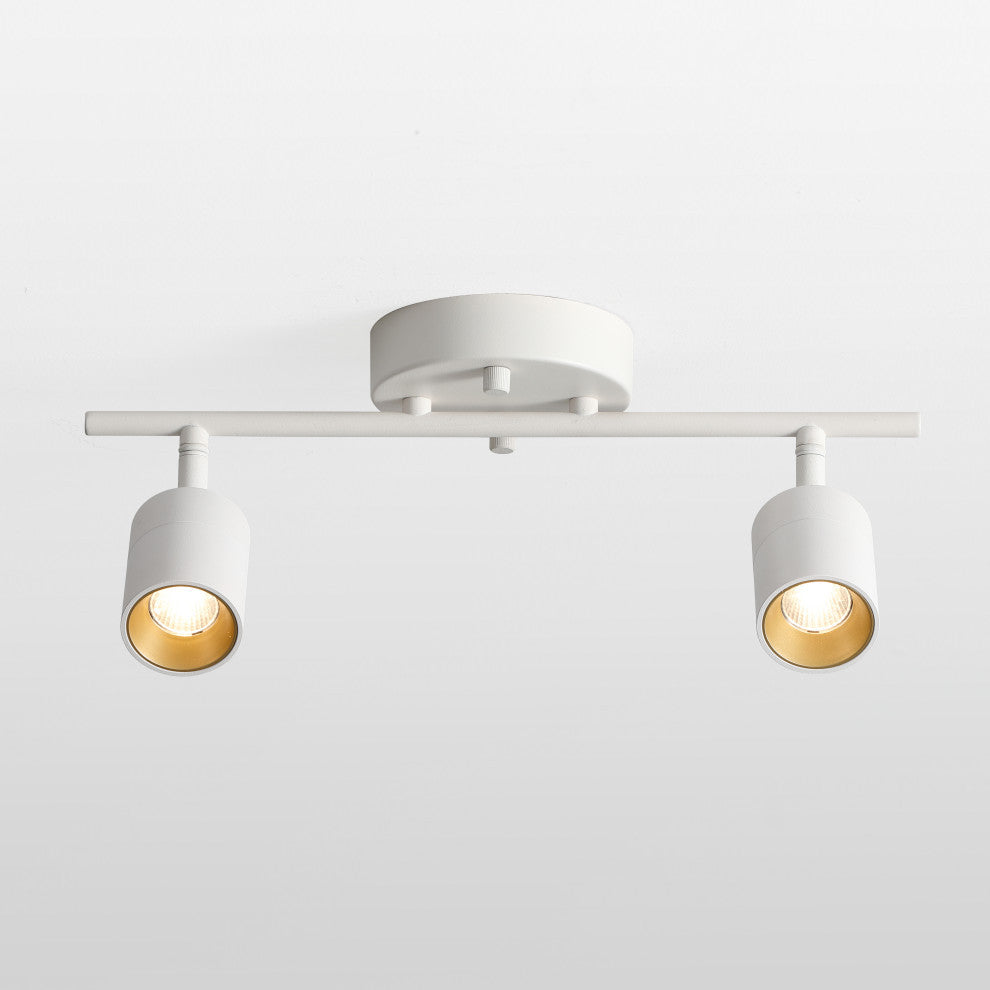 VidaLite Shura 2 Head LED Track Light, White