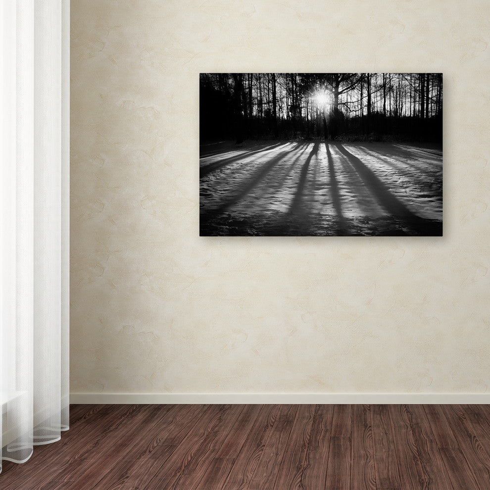 PIPA Fine Art 'Winter Shadows' Canvas Art, 47x30