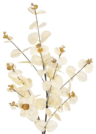 White background with a cropped/zoomed-in branch segment (alternate_white_close).