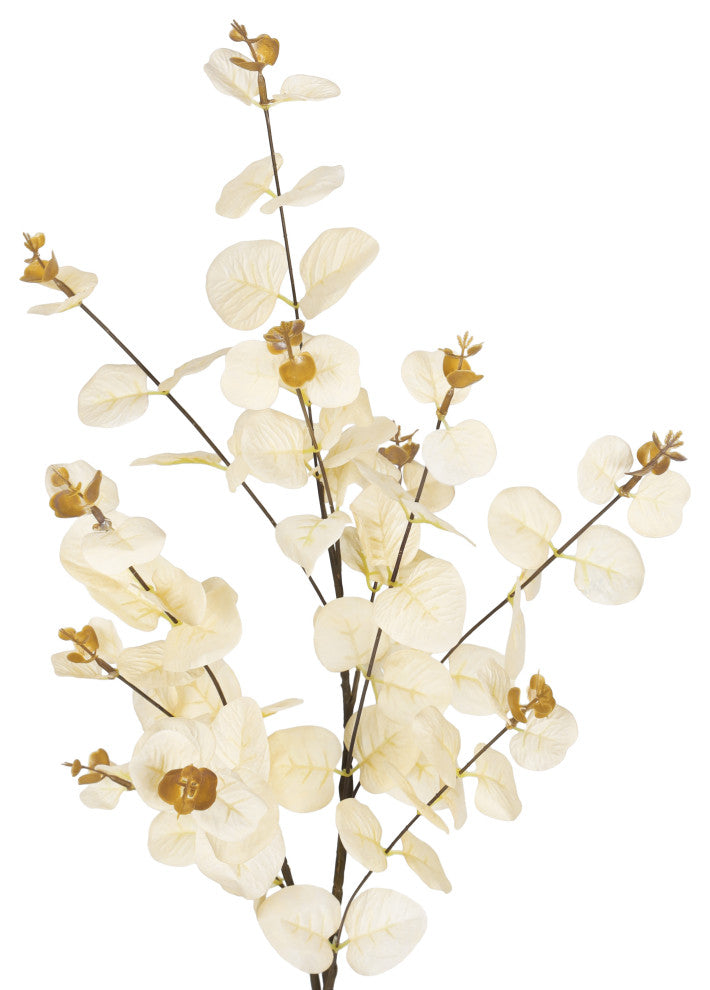 White background with a cropped/zoomed-in branch segment (alternate_white_close).