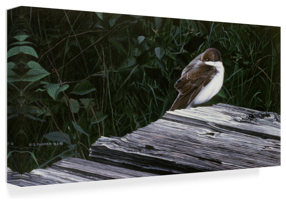 Ron Parker 'Tree Swallow' Canvas Art, 19"x10"