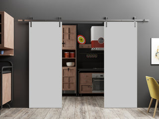 Slab Barn Door Panel 24 x 96 | Planum 0010 Matte Grey