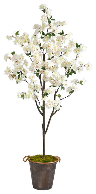 Full product shot on white background, no text, front-facing.