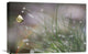 "Imminent Landing" Stretched Canvas Giclee by Anna Cseresnjes, 22x15"