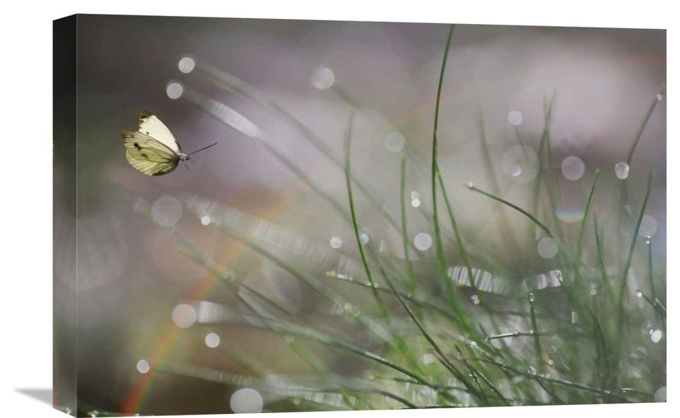 "Imminent Landing" Stretched Canvas Giclee by Anna Cseresnjes, 22x15"