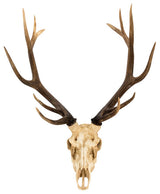 Faux Deer Skull Wall Decor
