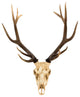 Faux Deer Skull Wall Decor