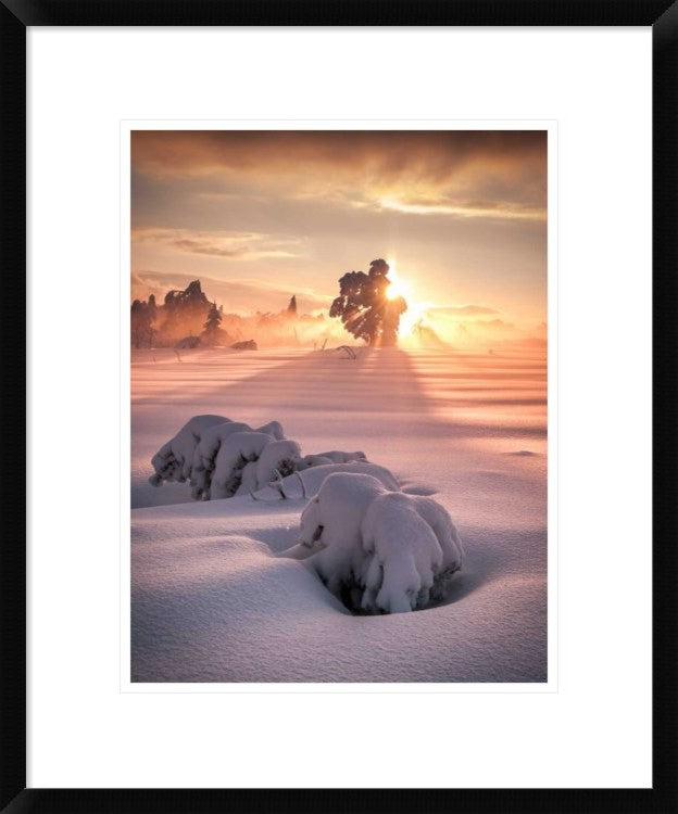 "After The Storm" Framed Digital Print by Andreas Wonisch, 20"x24"