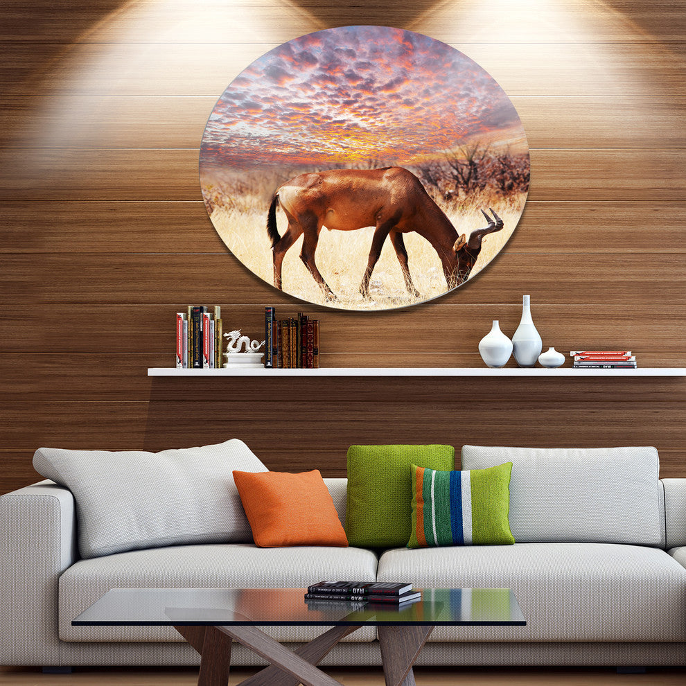 Antelope In Bush Under Dramatic Sky, African Art Disc Artwork, 11"