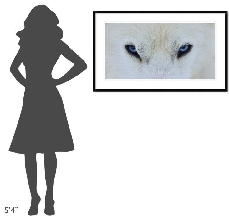 "Mirada Azul" Framed Digital Print by Miquel Angel Artus, 44x26"