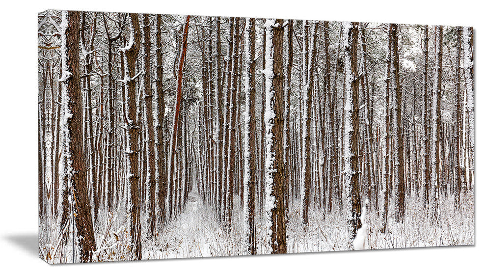 Dense Pine Forest in Winter, Landscape Canvas Art Print, 32"x16"