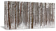 Dense Pine Forest in Winter, Landscape Canvas Art Print, 32"x16"