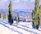 Allen Tucker Fir Tree Shadows on a Snowy Bank, 20"x25" Wall Decal