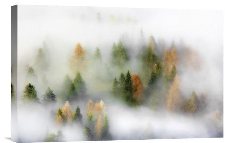 "Autumn Dream" Stretched Canvas Giclee by Kristjan Rems, 18x12"