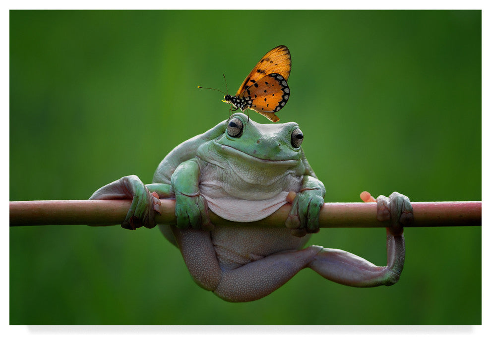 Edy Pamungkas 'My Best Friend' Canvas Art, 24"x16"