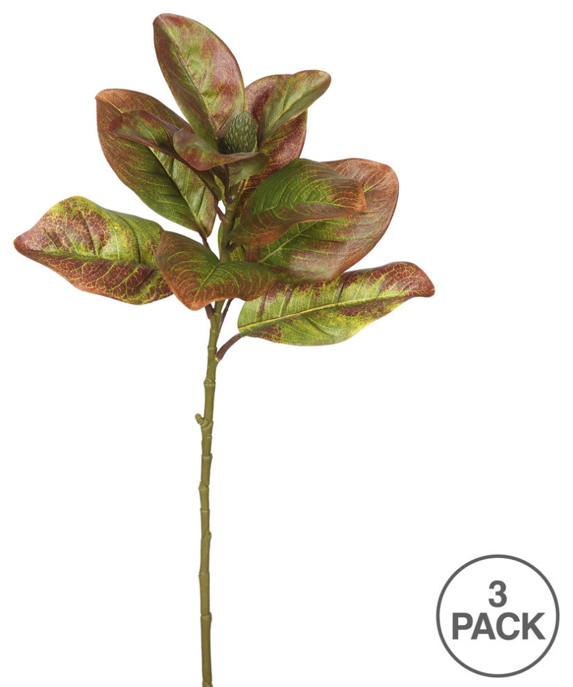Vickerman Fa172301 31" Artificial Autmn Magnolia Leaves, No Blossom