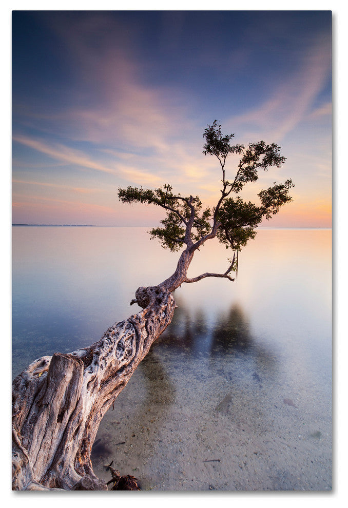 "Water Tree X" Canvas Art by Moises Levy