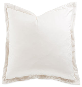 Conner 20" Velvet Throw Pillow, Set of 2, Cloud