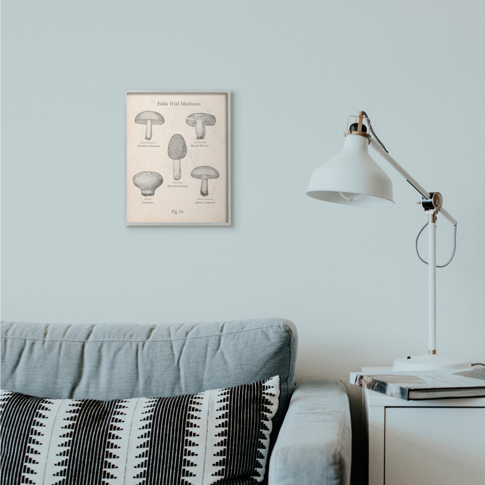 Edible Wild Mushrooms Vintage Drawing Design, 11"x14"