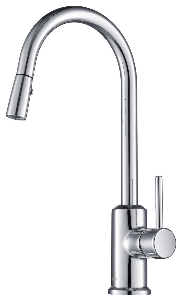 Brighton Kitchen Faucet Spray Head Gooseneck, Chrome