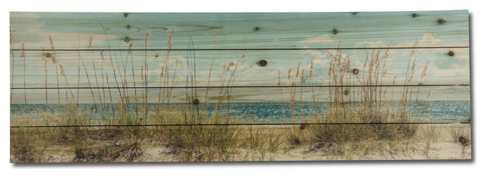 36" Long Ocean Sand Dunes Wood Plank Wall Art