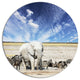 Huge White Elephant And Zebras, Animal Round Wall Art, 23"