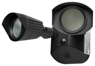 LED Dual Head Security Light, Black