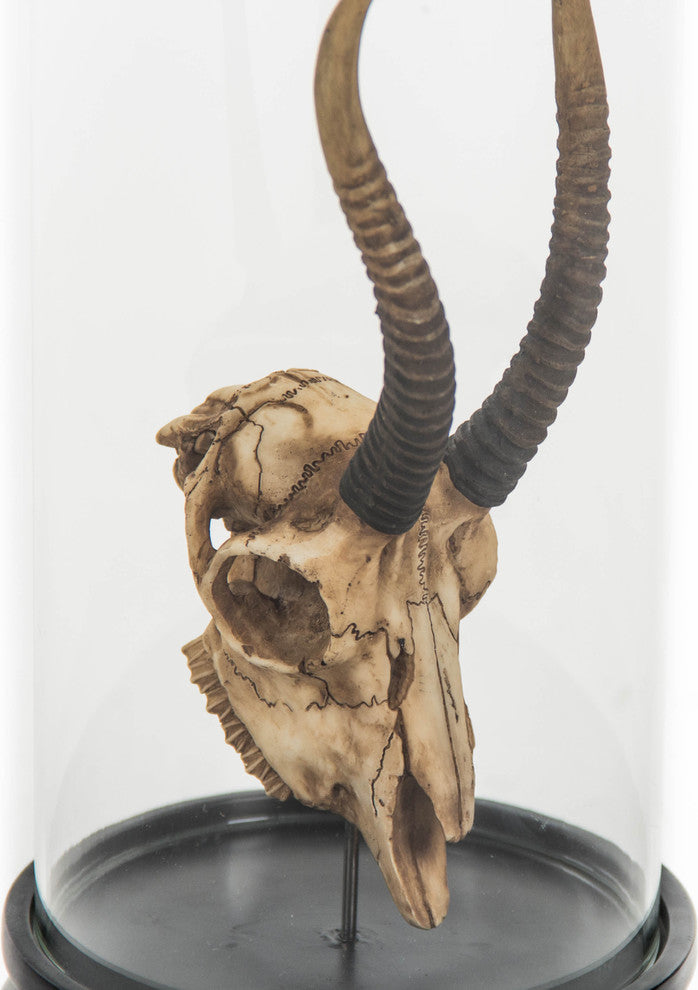 Goat Skull Statue With Cover