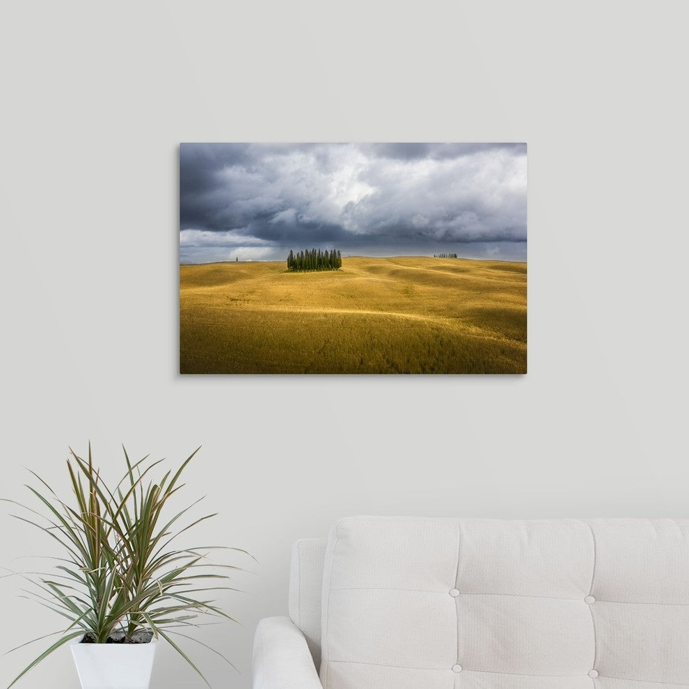 "Wheat And Cypresses In Tuscany" Wrapped Canvas Art Print, 24"x16"x1.5"