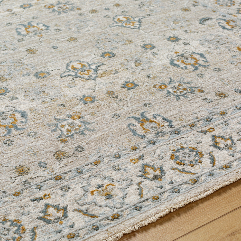 Surya Dresden DRE-2311 Machine Woven Area Rug, Taupe, 2'7" x 3'11"
