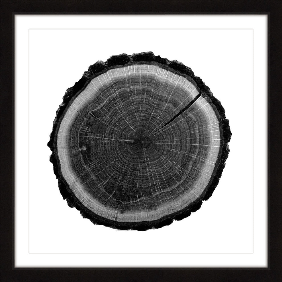 "Log" Framed Painting Print