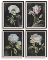 Uttermost Florals On Black Framed Prints Set of 4