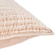 Dimitry 100% Rayon Velvet Shams, Nude, Euro