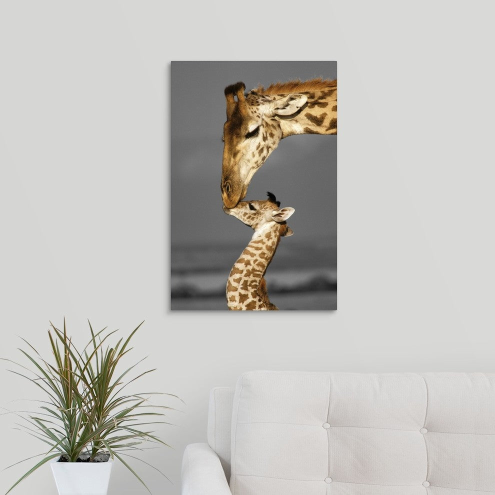 Masai Mara Giraffe Wrapped Canvas Art Print, 16"x24"x1.5"