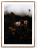 Escape Ii By Annie Spratt