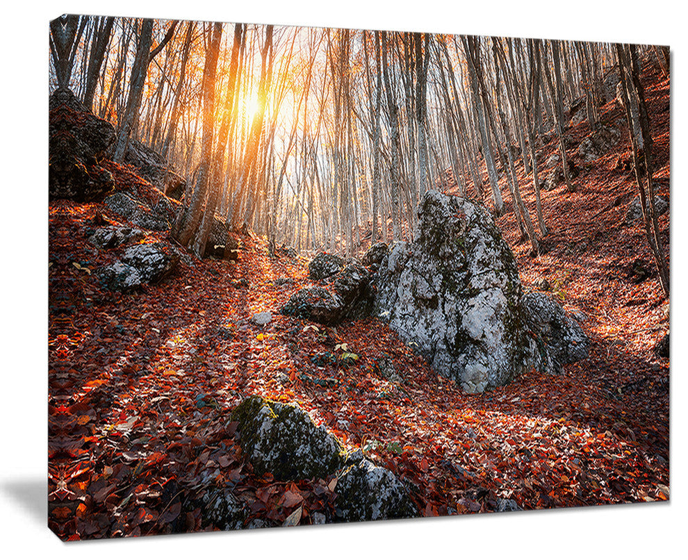 "Rocky Red Autumn Forest" Landscape Photography Canvas Print, 40"x30"