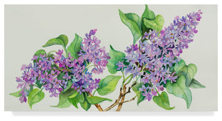 Joanne Porter 'Lilac Sprigs' Canvas Art, 47"x24"