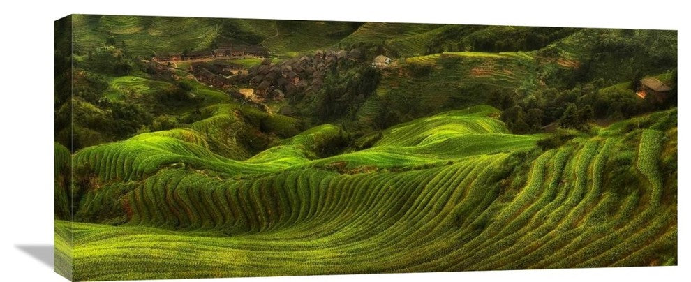 "Waves Of Rice - The DragonS Backbone" Canvas by Max Witjes, 30x13"