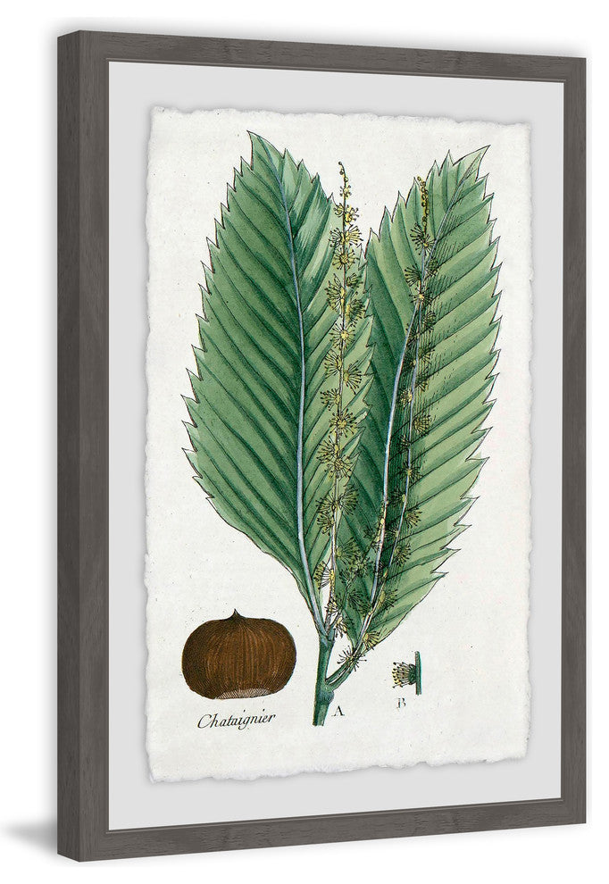 "Flore des Environs de Paris" Framed Painting Print, 16"x24"