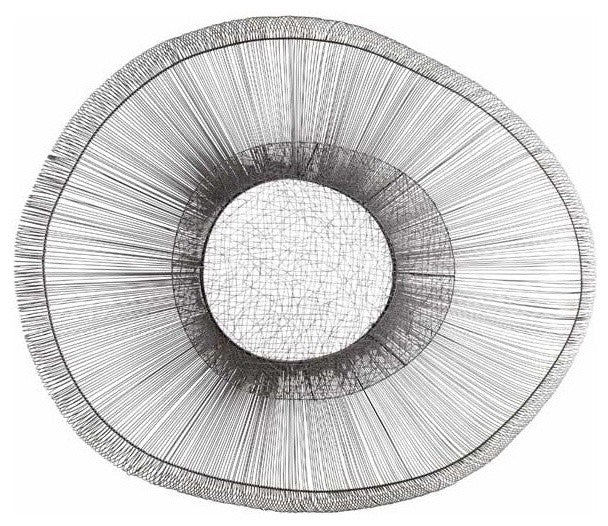 Cyan Design 05640 Large Pardo Wall Decor