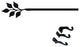 Leaf Curtain Rod, Medium