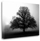 "Tree In Mist 2" By Photoinc Studio, Giclee Print on Gallery Wrap Canvas