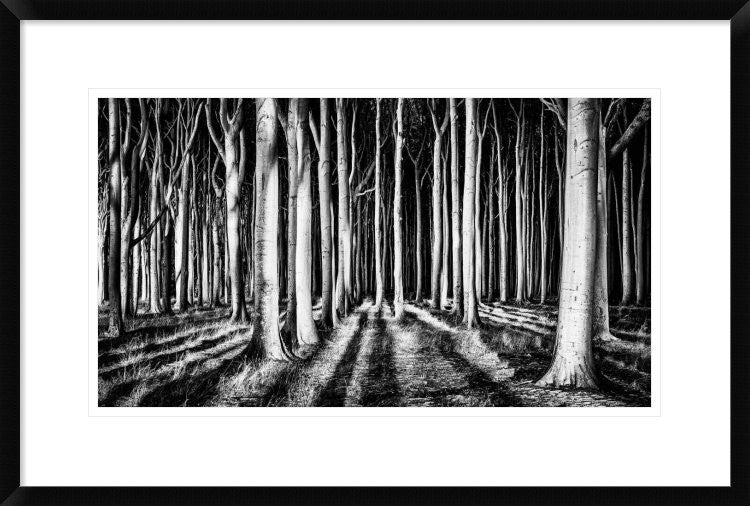 "Ghost Forest" Framed Digital Print by Pixxelpark, 30"x20"
