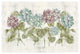 "Vibrant Row of Hydrangea No Border" Digital Paper Print by Cheri Blum, 62"x42"