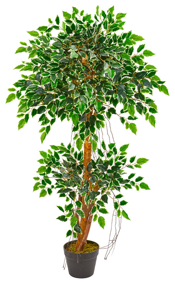 4' Variegated Ficus Artificial Tree