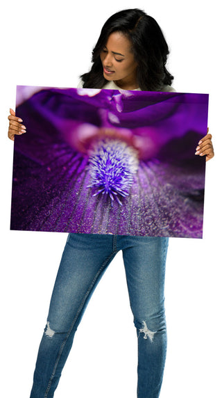 Eye of Iris Nature Photography, Floral Unframed Wall Art Print, 18" X 24"