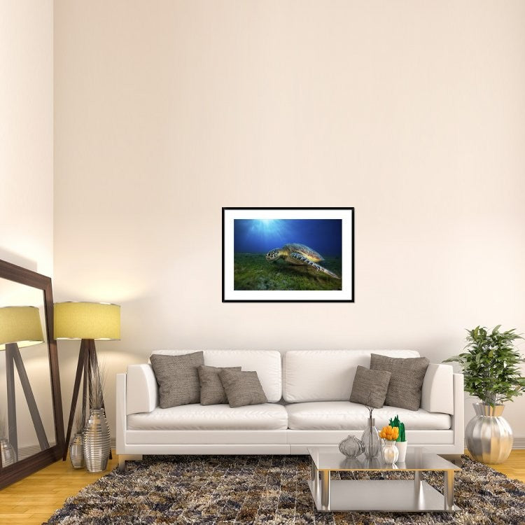"Green Turtle" Framed Digital Print by Barathieu Gabriel, 44x32"