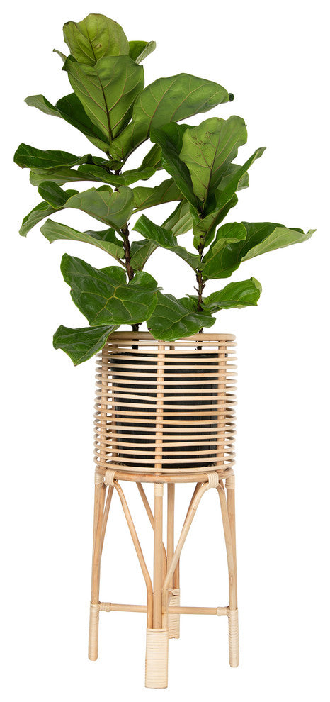 Rattan Indoor Plant Stand Medium, Natural
